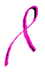 accentpink.jpg . Rachel Meinz accent pink ribbon design, , 2002. for breast cancer awareness