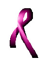 radiantpink.jpg, pinkribbon by Rachael Meinz0